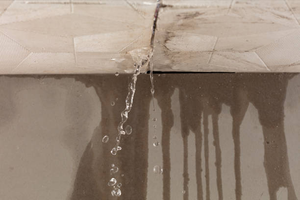 Professional Water Damage Restoration technician working in Freeport, NY